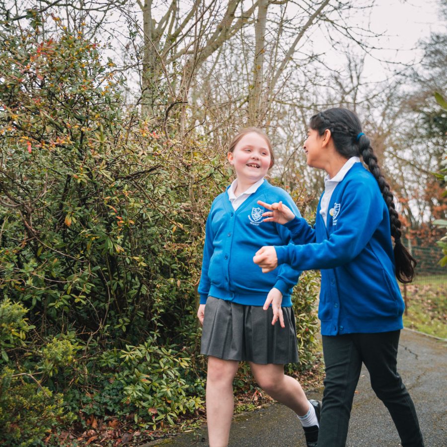 Our Vision & Values preview image